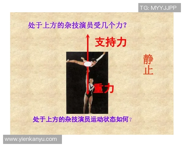 从零起步探索极限运动的全方位指南与实用技巧分享